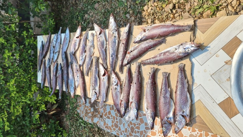 20240807 143922-Klein