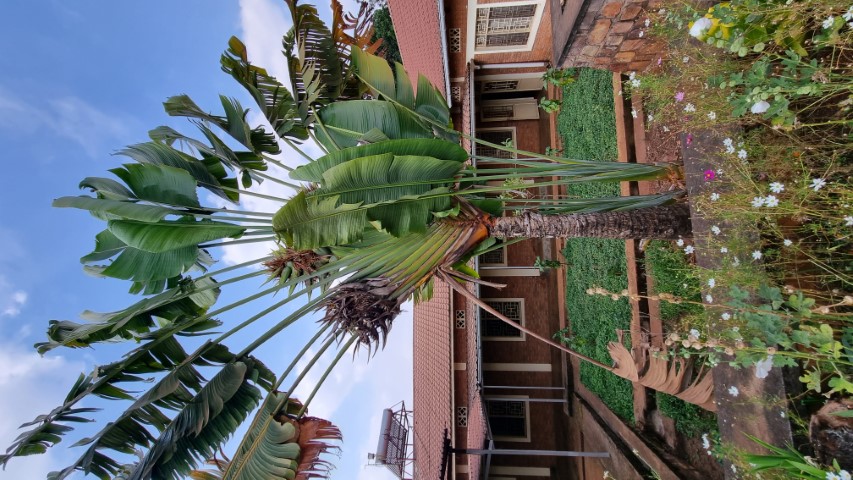 20240810 145144-Klein